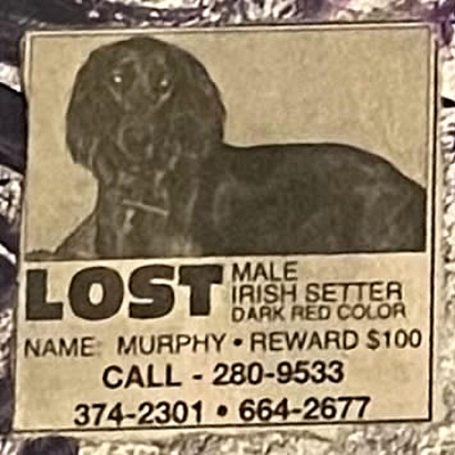 LOST cover art