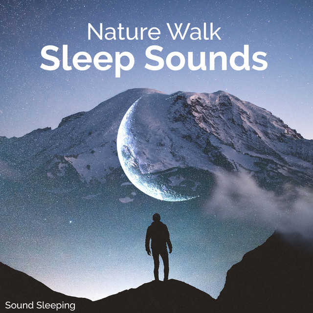 Nature Walk Sleep Sounds - Album by Sound Sleeping | Spotify
