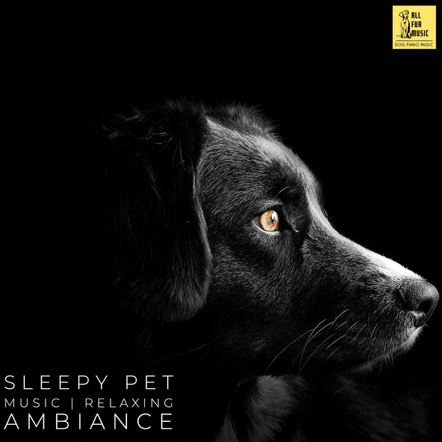 Sleepy Pet Music & Relaxing Ambiance cover art