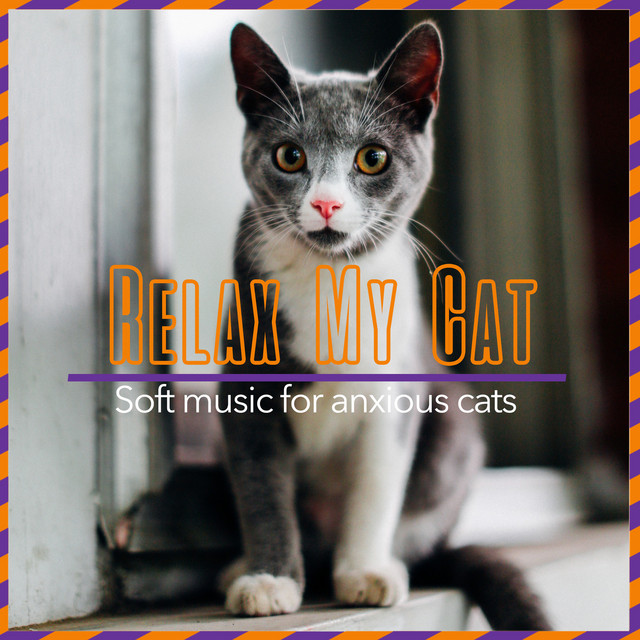 Relax My Cat - Soft Music for Anxious Cats - Album by RelaxMyCat | Spotify