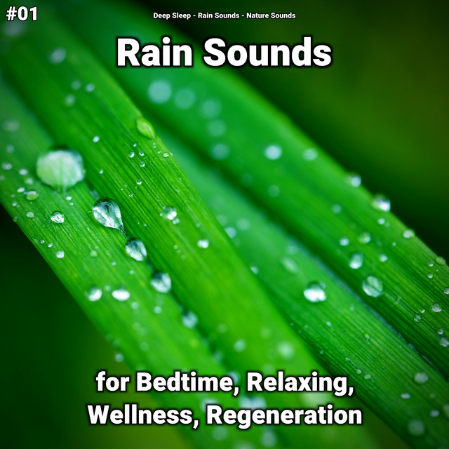 #01 Rain Sounds for Bedtime, Relaxing, Wellness, Regeneration cover art