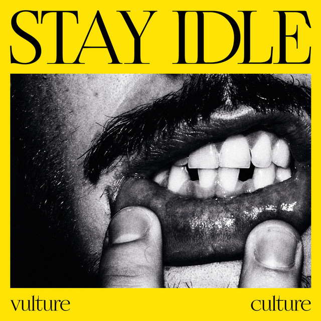 Vulture Culture cover