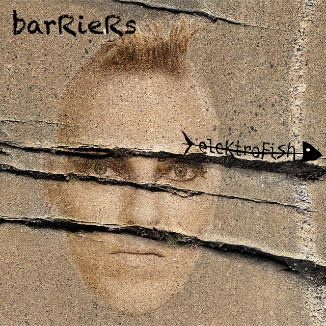 Barriers cover