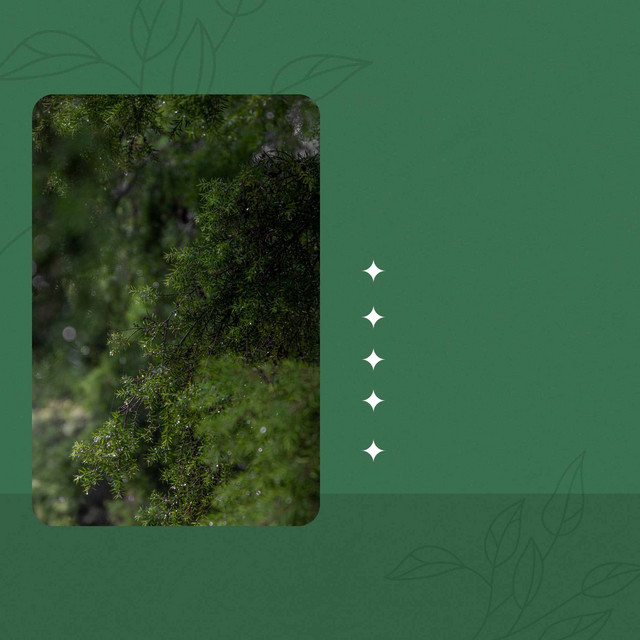 Ambiance for A Good Year cover art