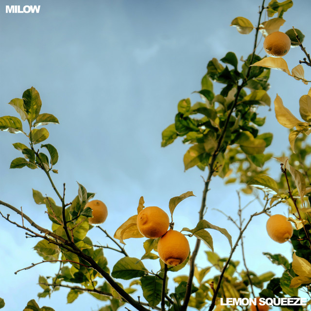 Lemon Squeeze cover art