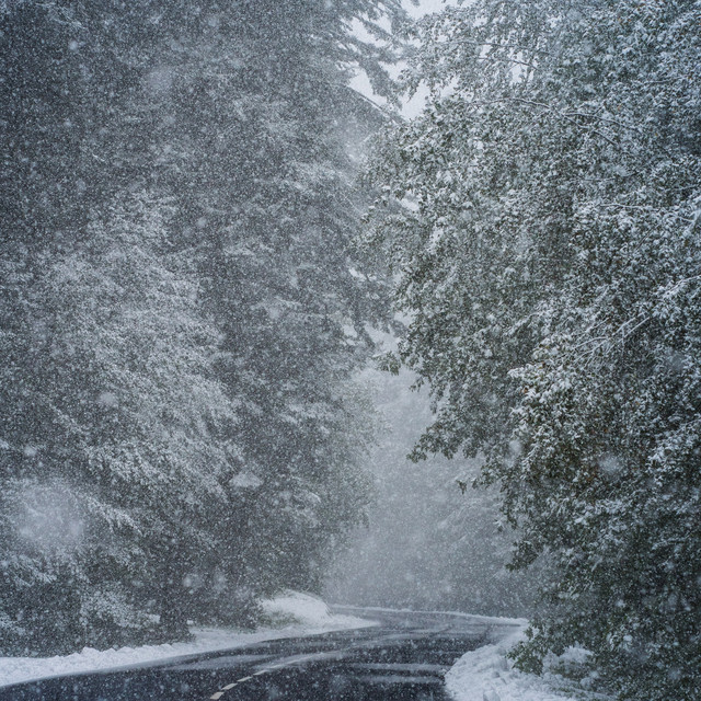 snowstorm