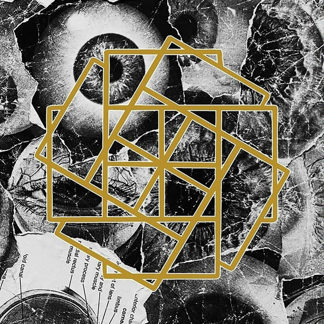 4-Way Split #2 cover art