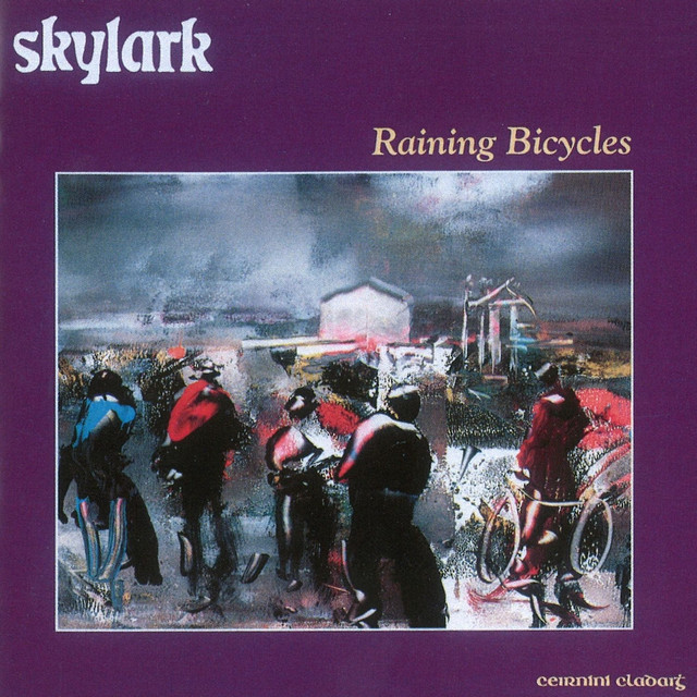 Raining Bicycles cover art