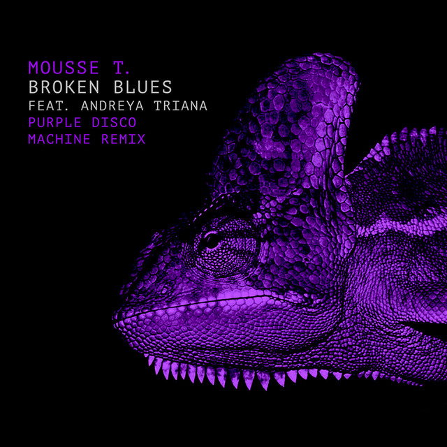 Broken Blues - Purple Disco Machine Remix album art