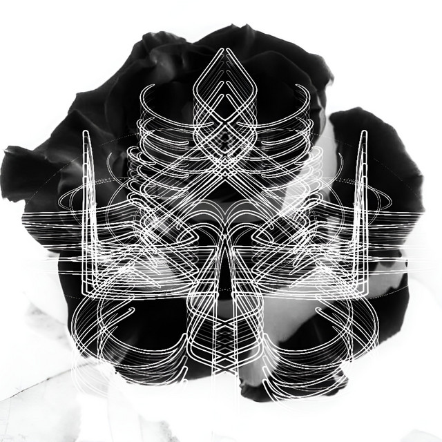 Black Roses cover art