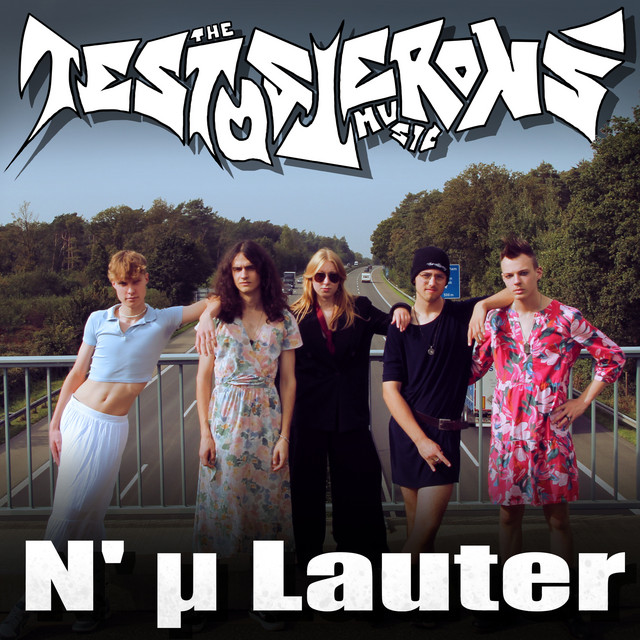 N' μ Lauter cover art