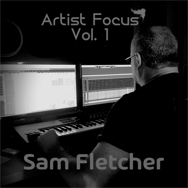 Обкладинка Sam Fletcher — Artist Focus, Vol. 1 (Sam Fletcher)