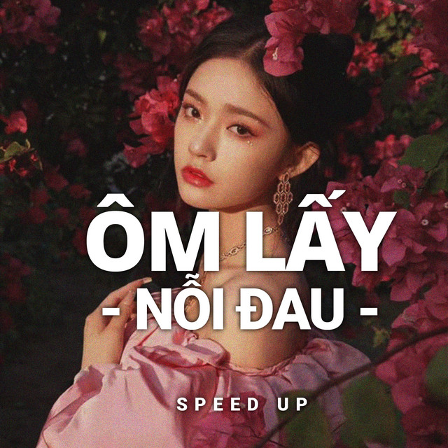 Ôm Lấy Nỗi Đau (Speed Up)