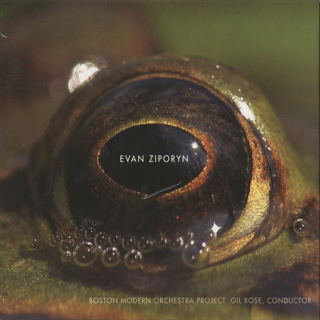 Evan Ziporyn: Frog's Eye cover art