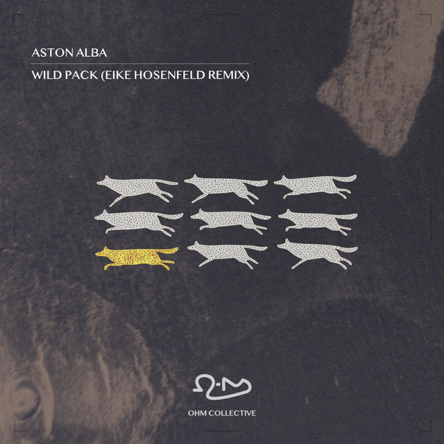 Wild Pact - Eike Hosenfeld Remix