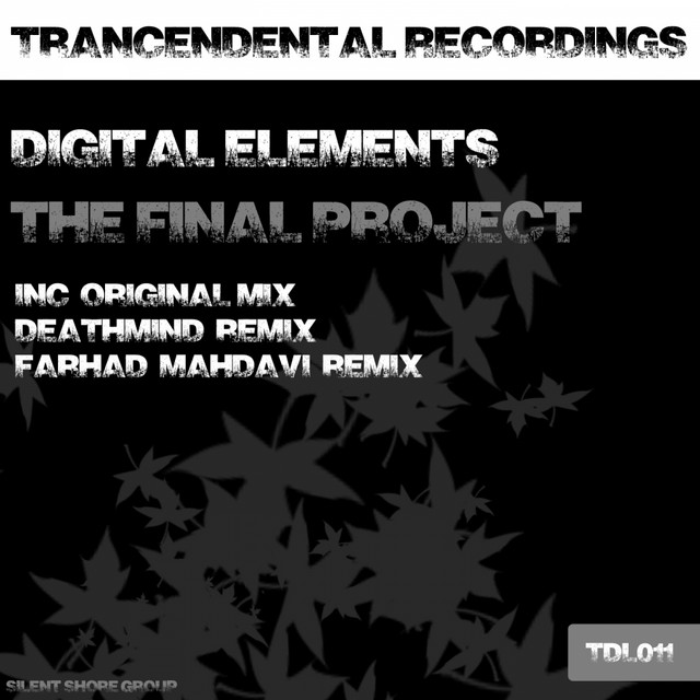 The Final Project - Original Mix cover art