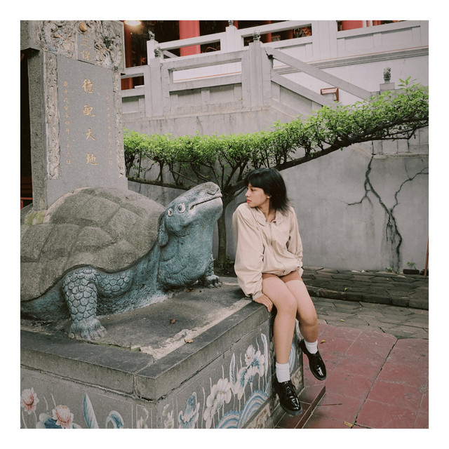 Sometimes cover art