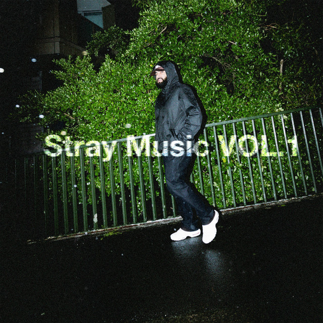 Stray Music Vol.1 cover art