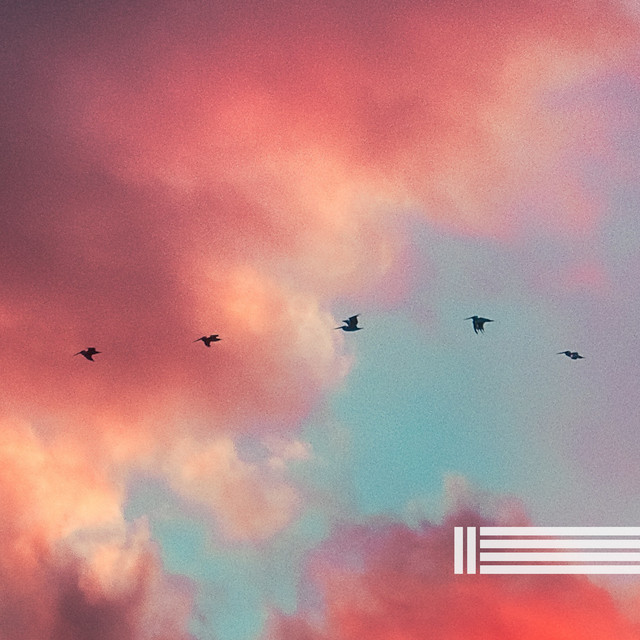 Sounds Of Birds And Forest