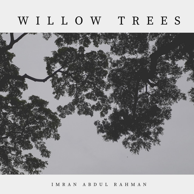 Willow Trees - Single by Imran Abdul Rahman | Spotify
