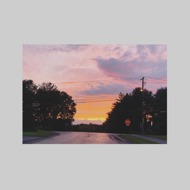 Lavender cover art