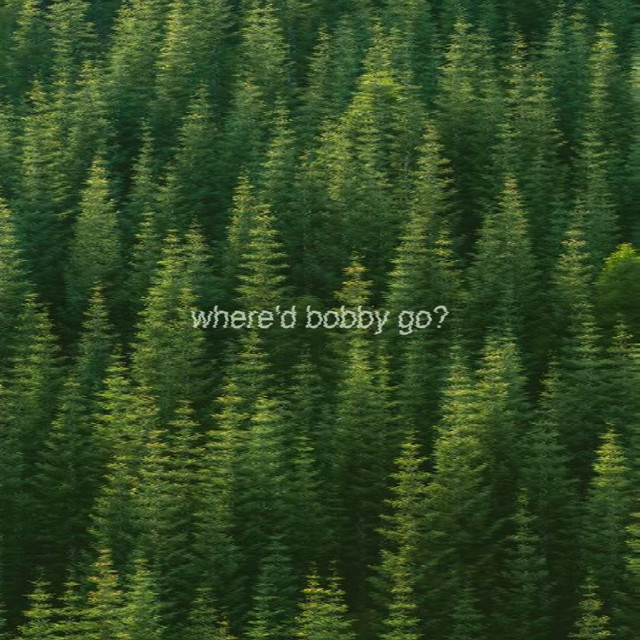 where'd bobby go? cover art