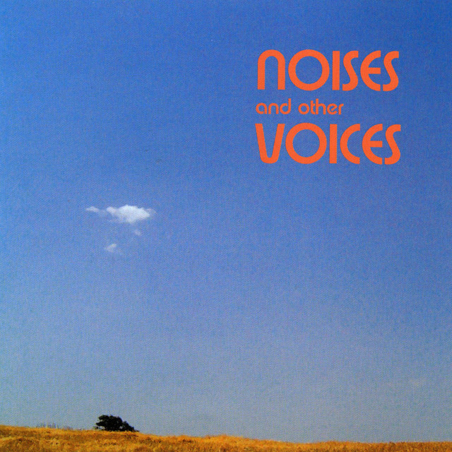 Voice & Noise Photo
