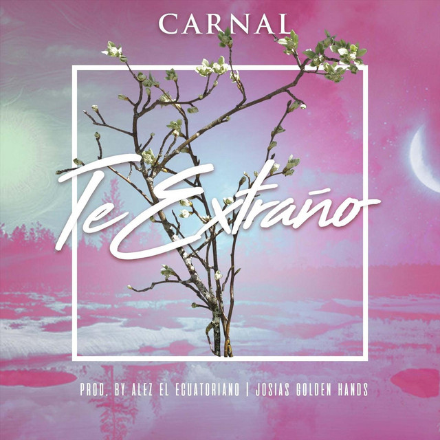 Te Extraño cover art