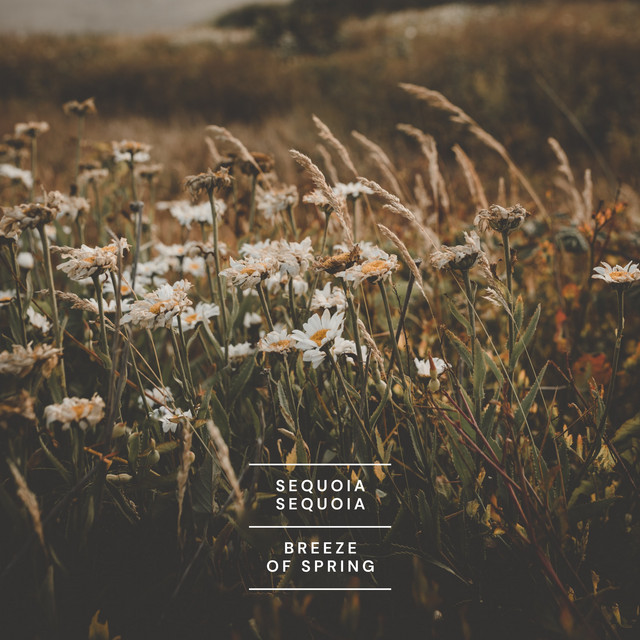 Breeze of Spring cover art