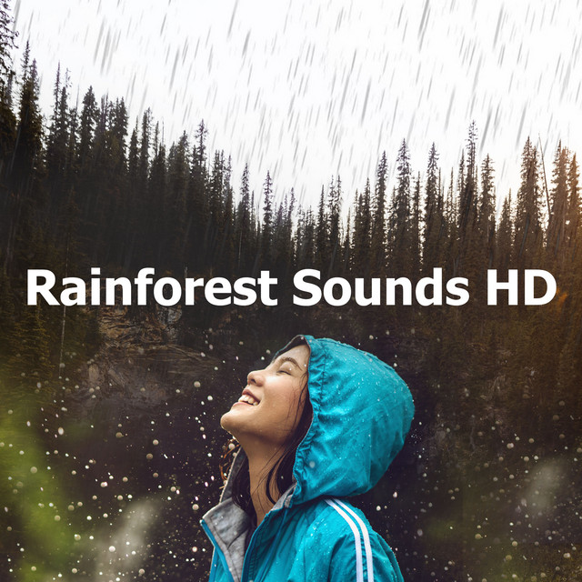Rainforest Sounds HD - Album by Rainforest Sounds | Spotify