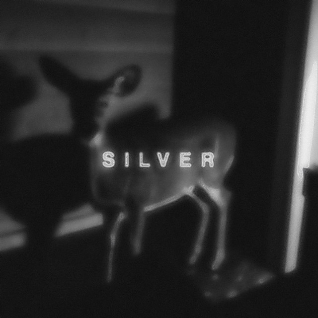 SILVER cover art