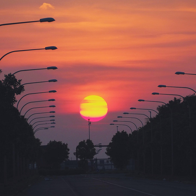the sun is waiting for you cover art