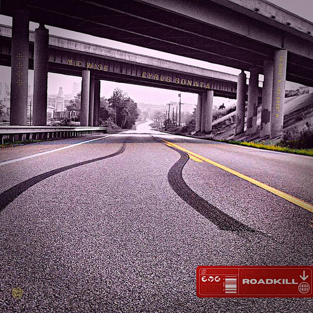 Roadkill cover art