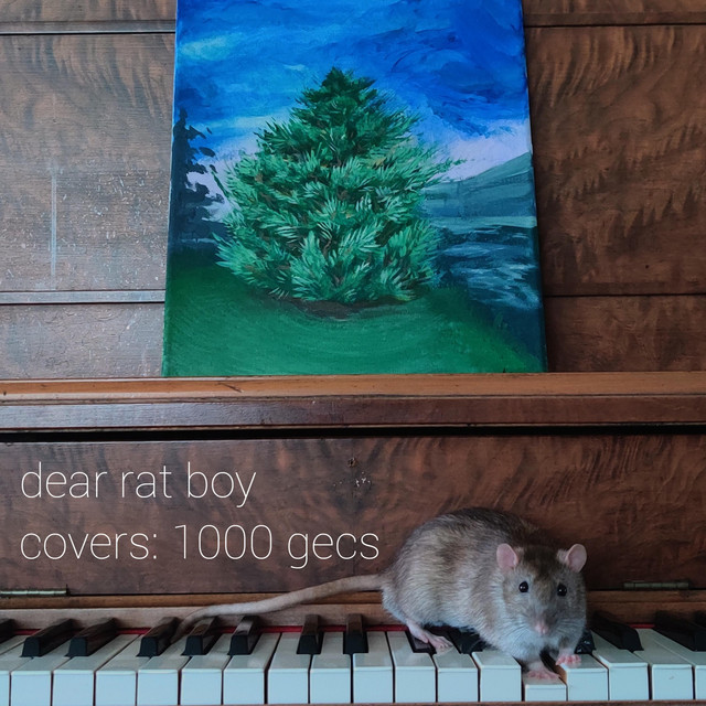 BPM and key for Ringtone by Dear Rat Boy | Tempo for Ringtone | SongBPM ...