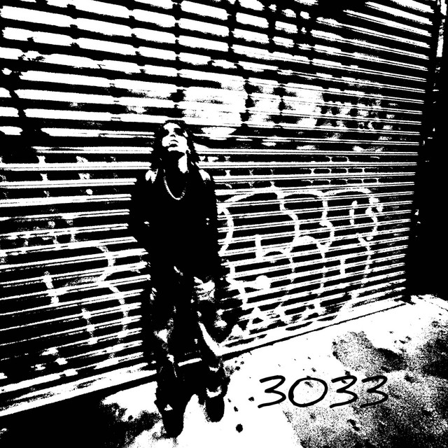 3033 cover art