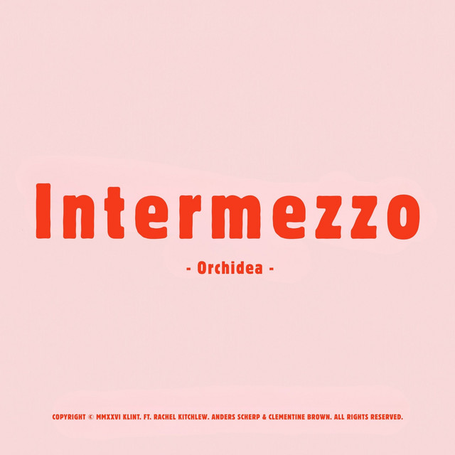 Intermezzo - Orchidea -