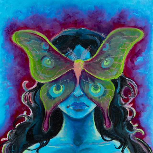 To Fly With Clipped Wings cover art
