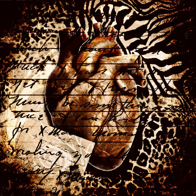 heartfelt cover art