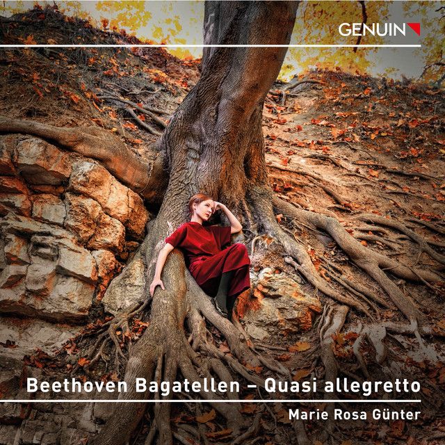 Beethoven Bagatellen - Quasi allegretto
