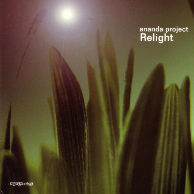 Relight cover art