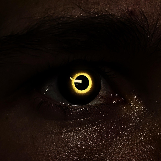 AFTER THE ECLIPSE (DID YOU FIND WHAT YOU SEEK?) cover art