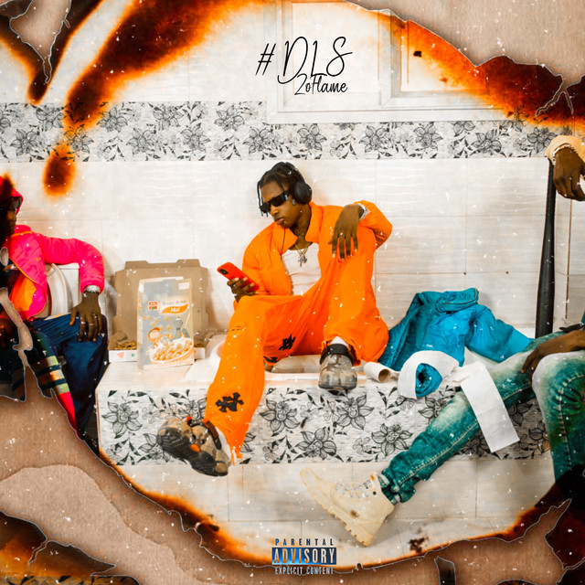 DLS cover art