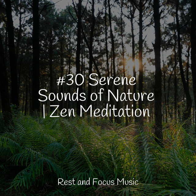 #30 Serene Sounds of Nature | Zen Meditation - Album by Mindfulness ...