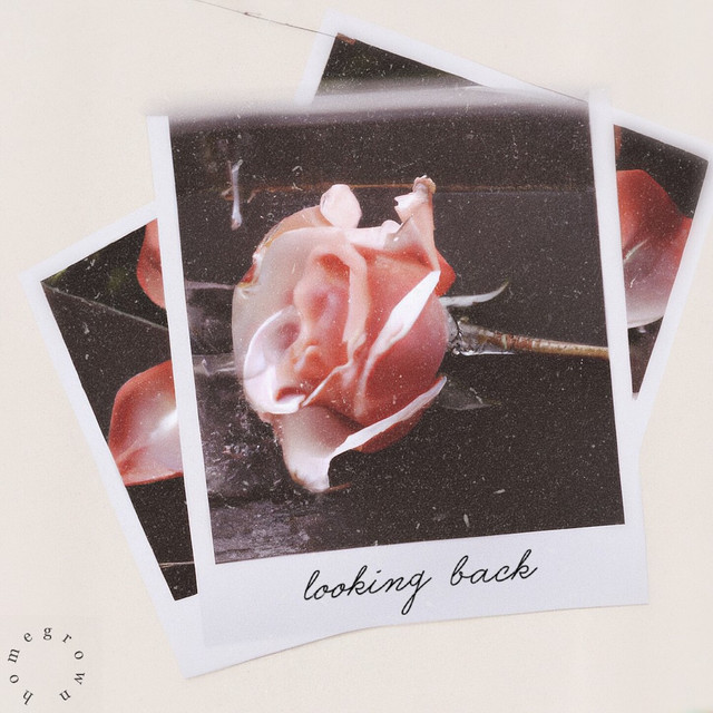 Looking Back cover art
