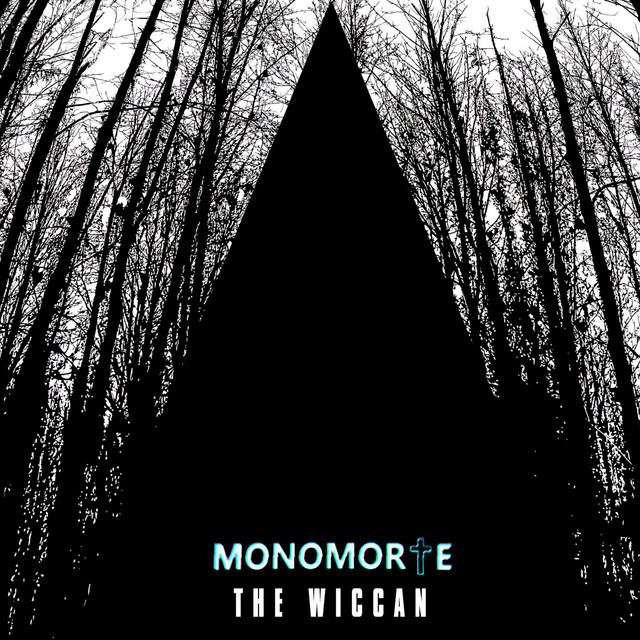 THE WICCAN cover art