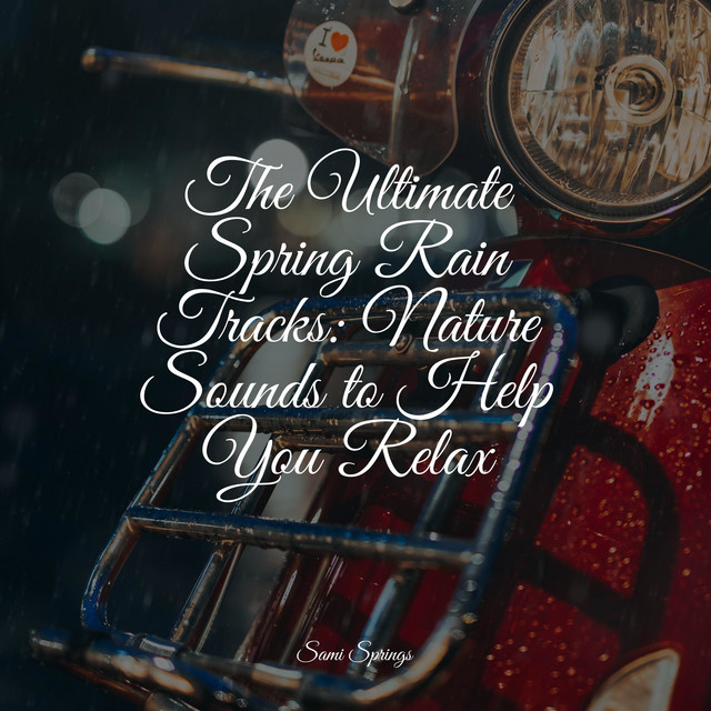 50 Sounds of Rainfall Recordings cover art