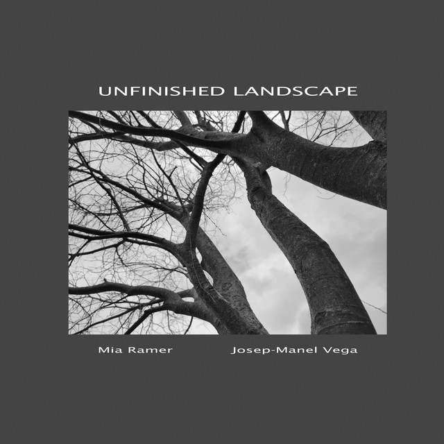 Unfinished Landscape cover art
