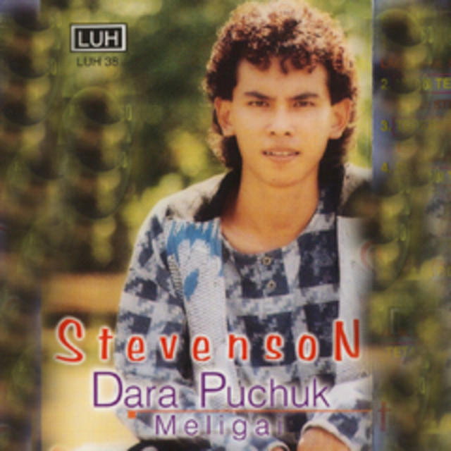 Dara Puchuk Meligai cover art