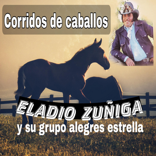 Eladio Zuñiga y su Grupo Alegres Estrella|