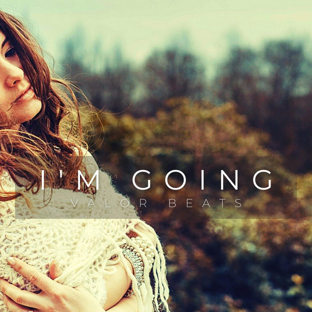I'm Going - song and lyrics by Valor Beats | Spotify